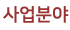 사업분야