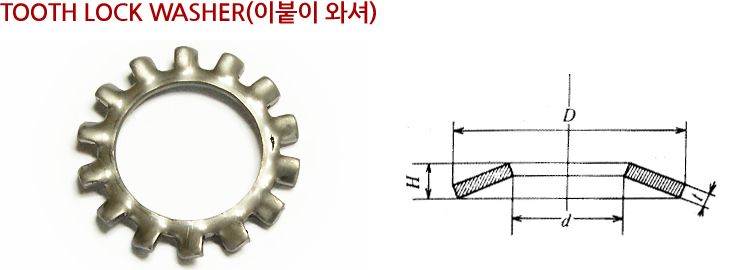 접시 스프링 와셔